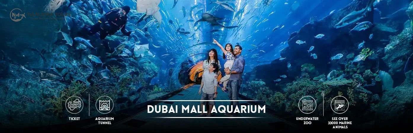 Best Dubai Mall Aquarium Tickets