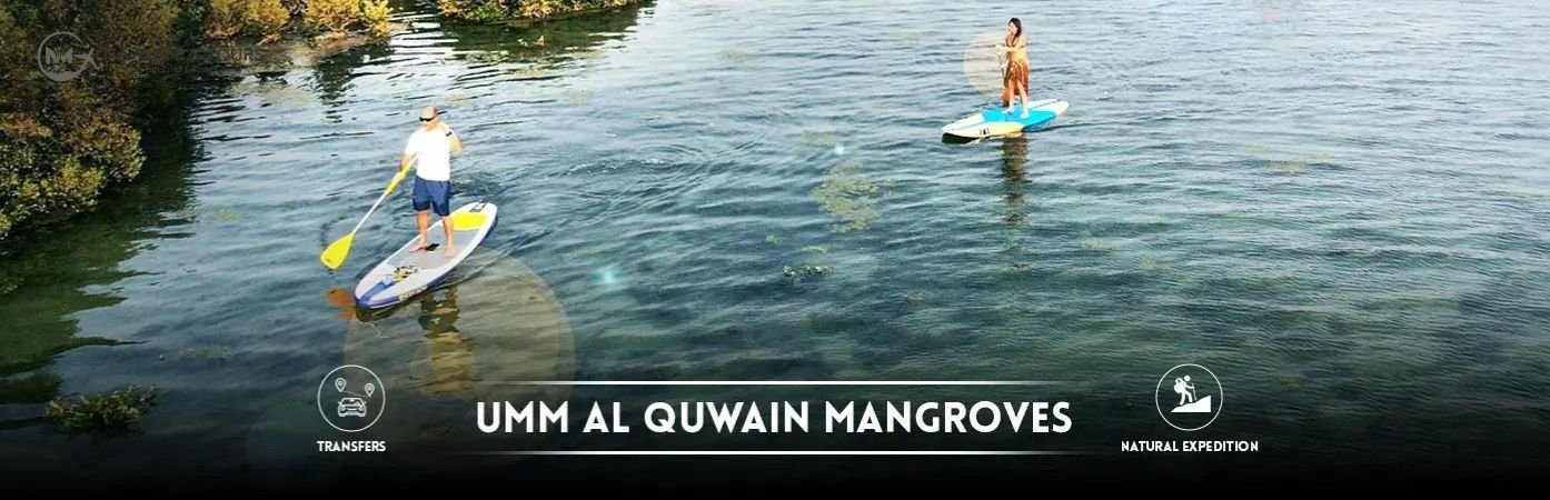 Dubai Mangroves Tour – Umm Al Quwain