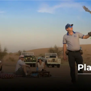 Best Dubai Platinum Desert Safari