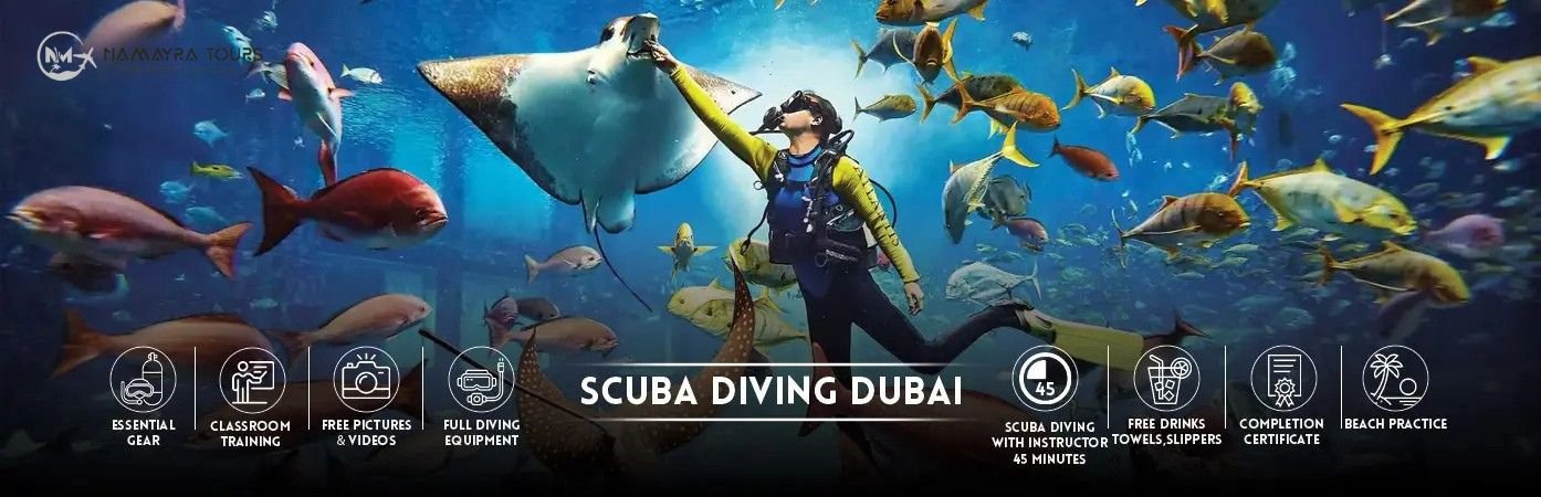 Best Dubai scuba-diving